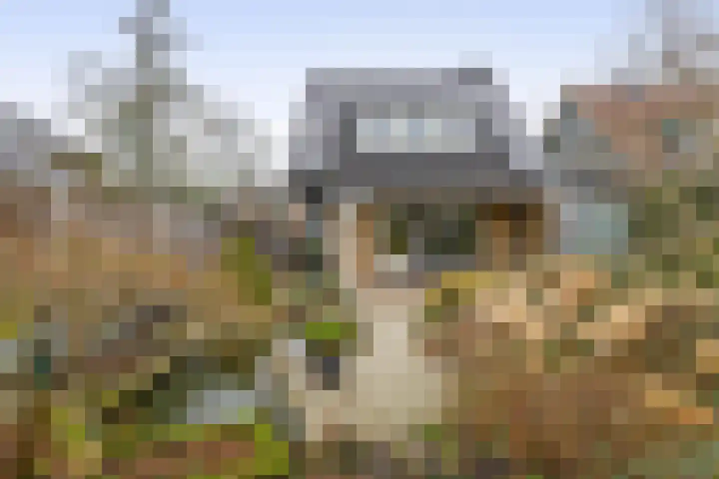 Tureluur 17 a Sommelsdijk thumbnail 29