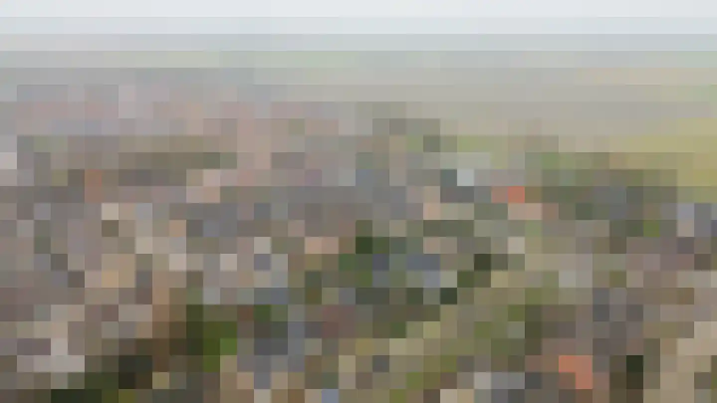 Tureluur 17 a Sommelsdijk thumbnail 31