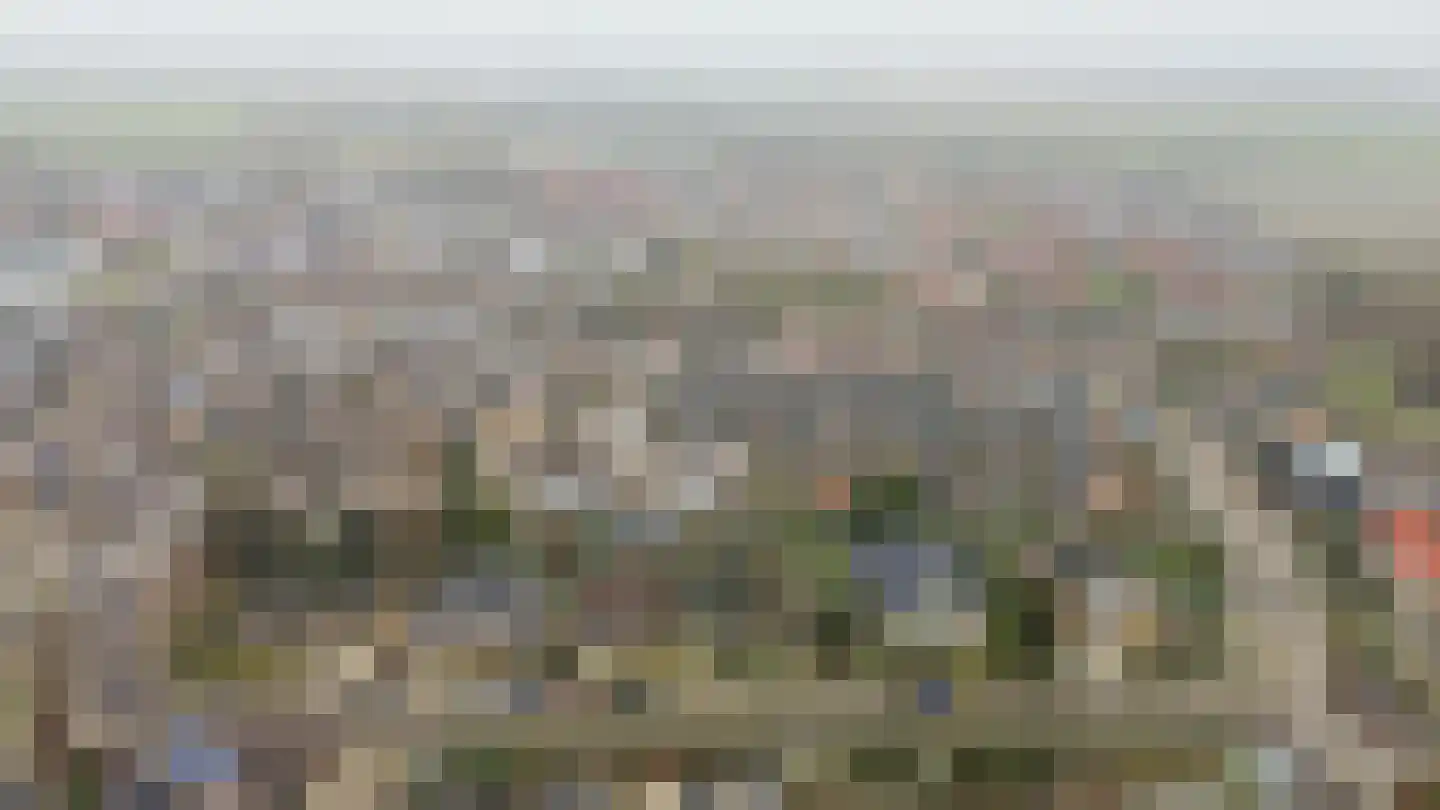 Tureluur 17 a Sommelsdijk thumbnail 32