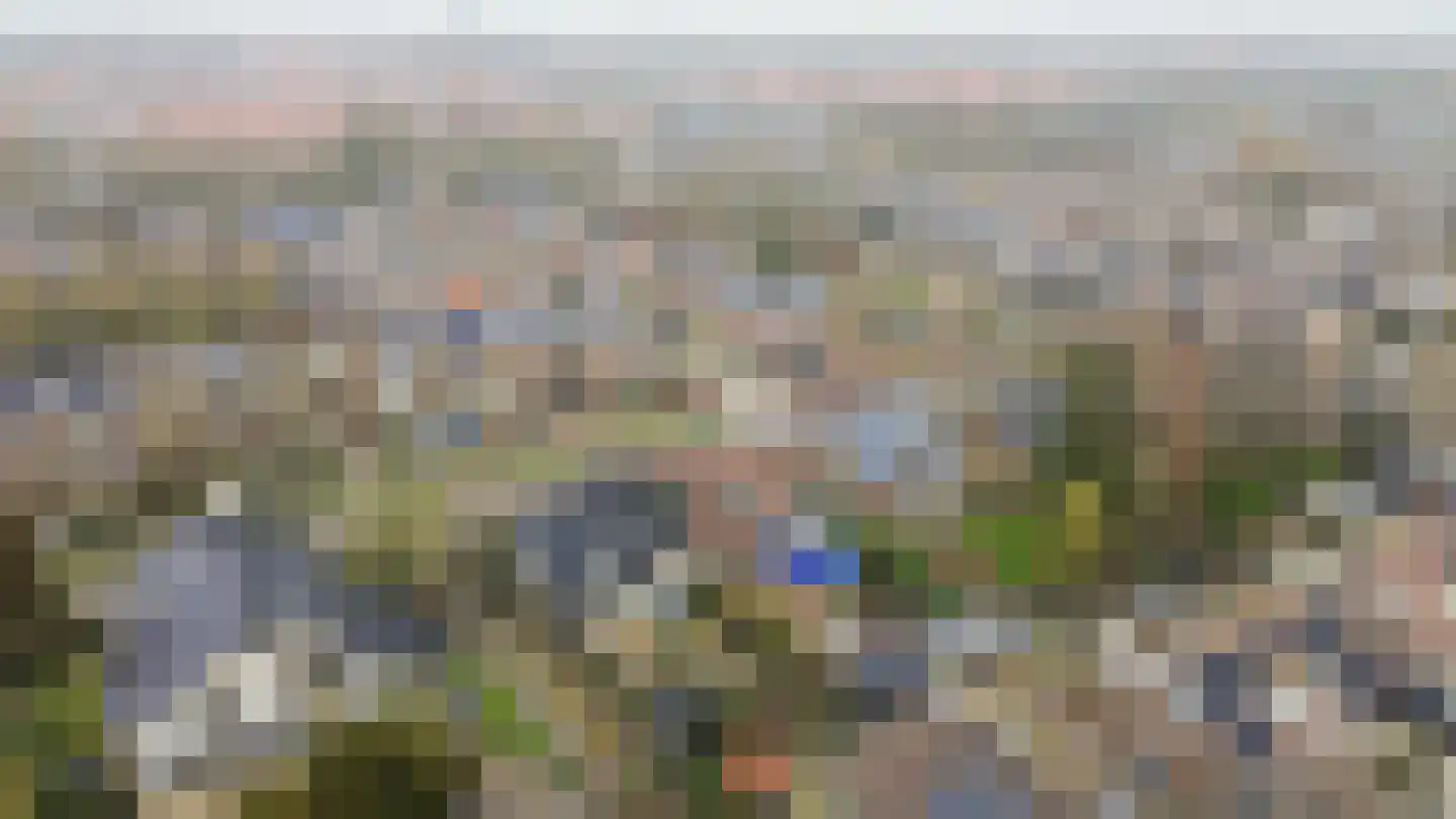 Tureluur 17 a Sommelsdijk thumbnail 33