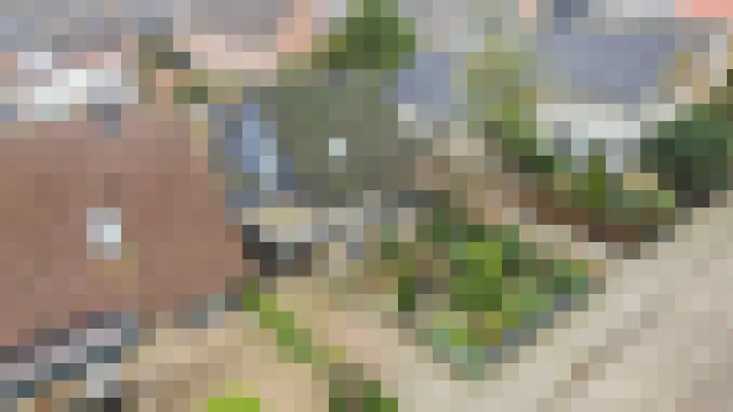 Tureluur 17 a Sommelsdijk thumbnail 34