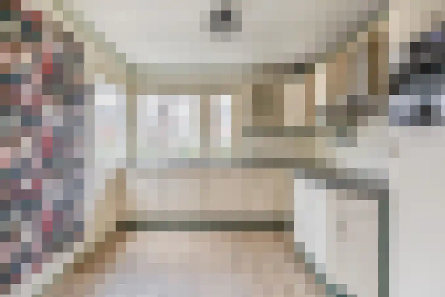 Tureluur 17 a Sommelsdijk thumbnail 4