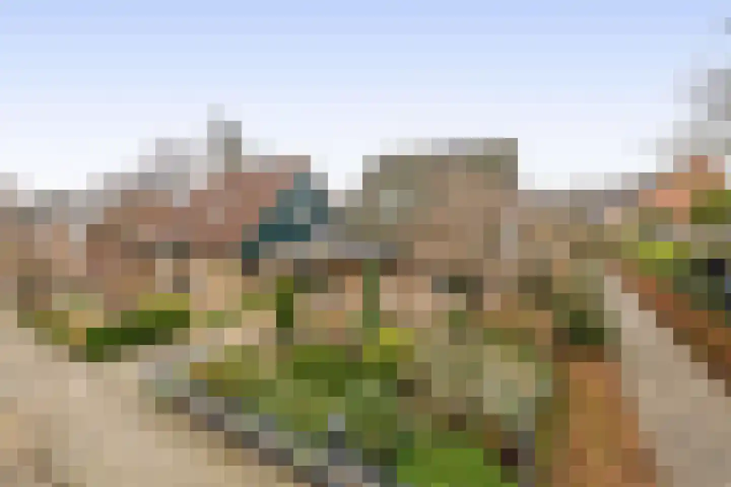 Tureluur 17 a Sommelsdijk thumbnail 5