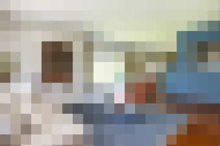 Tureluur 2 Sommelsdijk thumbnail 11