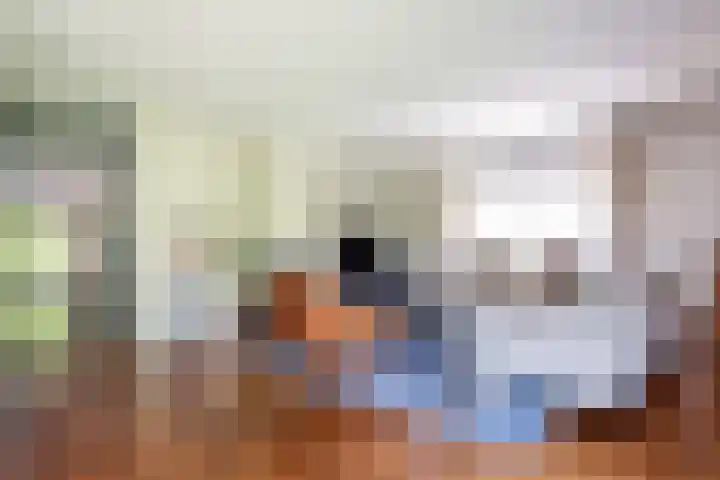 Tureluur 2 Sommelsdijk thumbnail 12