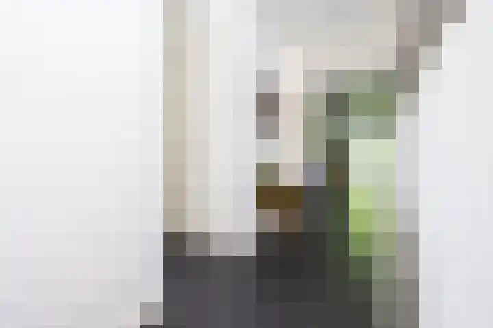 Tureluur 2 Sommelsdijk thumbnail 18