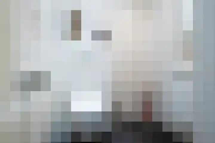 Tureluur 2 Sommelsdijk thumbnail 27