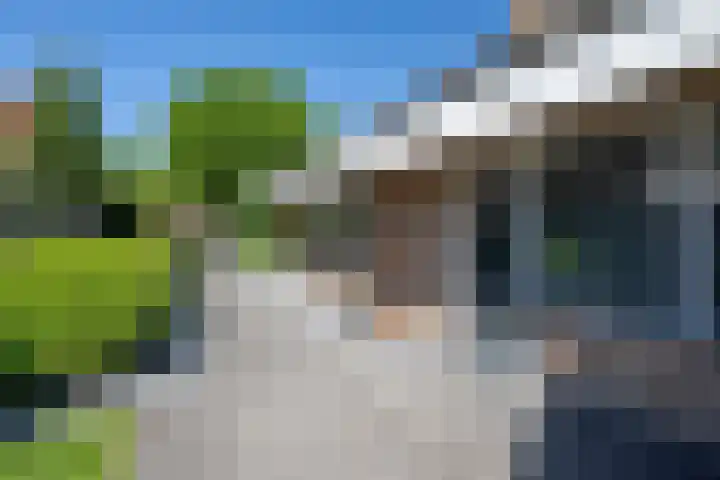 Tureluur 2 Sommelsdijk thumbnail 30