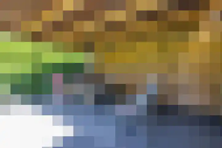 Tureluur 2 Sommelsdijk thumbnail 31