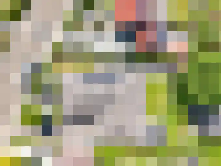 Tureluur 2 Sommelsdijk thumbnail 35