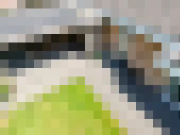 Tureluur 2 Sommelsdijk thumbnail 37