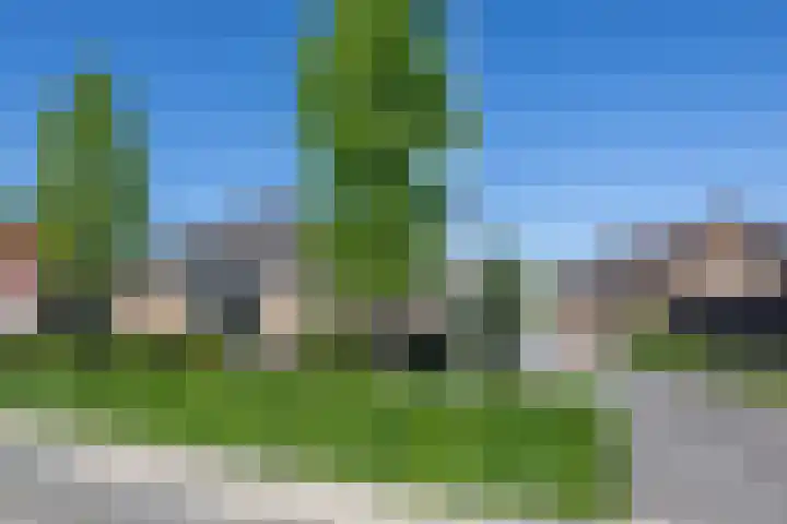 Tureluur 2 Sommelsdijk thumbnail 38