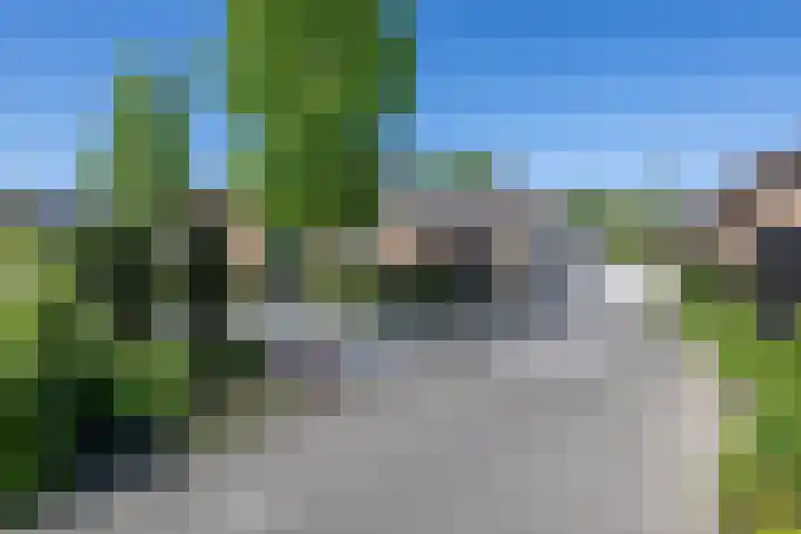 Tureluur 2 Sommelsdijk thumbnail 5