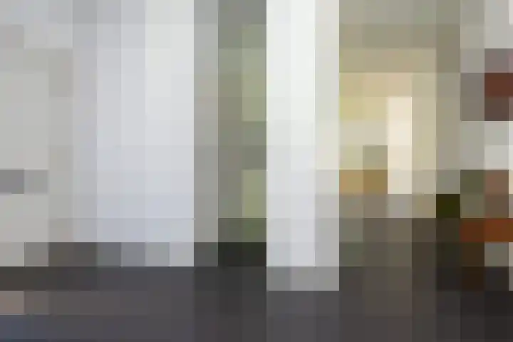Tureluur 2 Sommelsdijk thumbnail 8