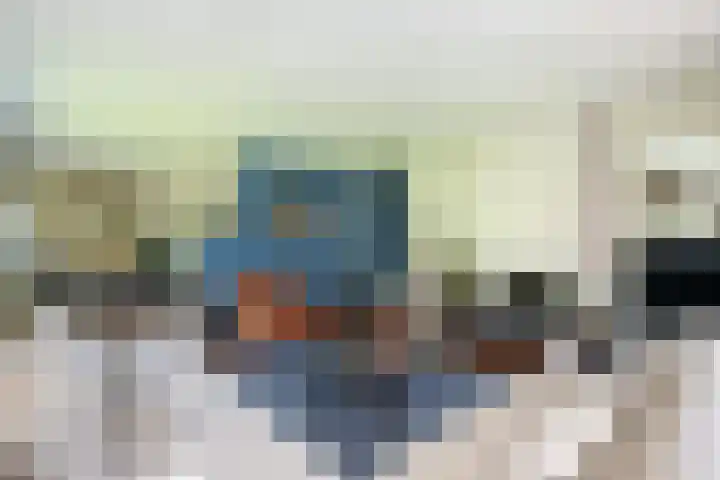 Tureluur 2 Sommelsdijk thumbnail 9