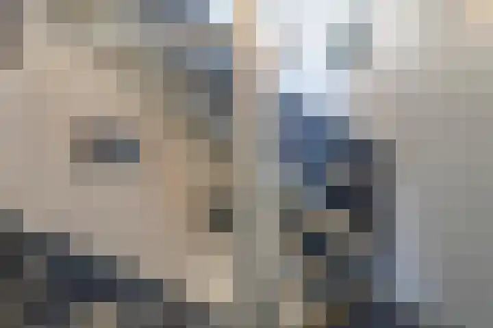 Tureluur 23 Hardinxveld-Giessendam thumbnail 11