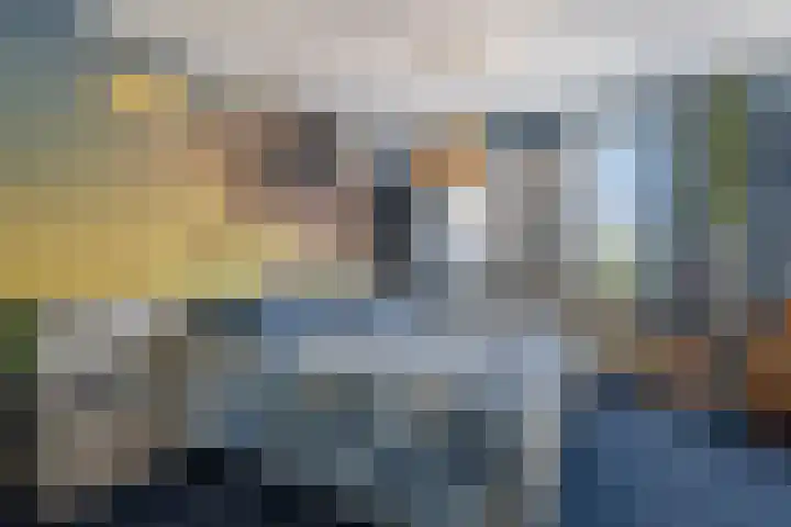 Tureluur 23 Hardinxveld-Giessendam thumbnail 12