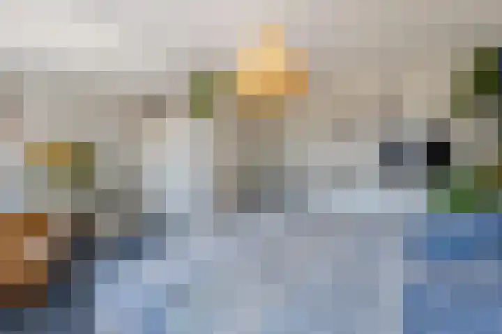 Tureluur 23 Hardinxveld-Giessendam thumbnail 13
