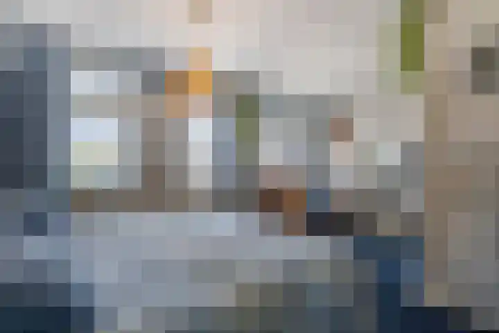 Tureluur 23 Hardinxveld-Giessendam thumbnail 14