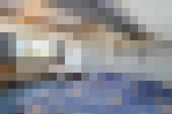 Tureluur 23 Hardinxveld-Giessendam thumbnail 19