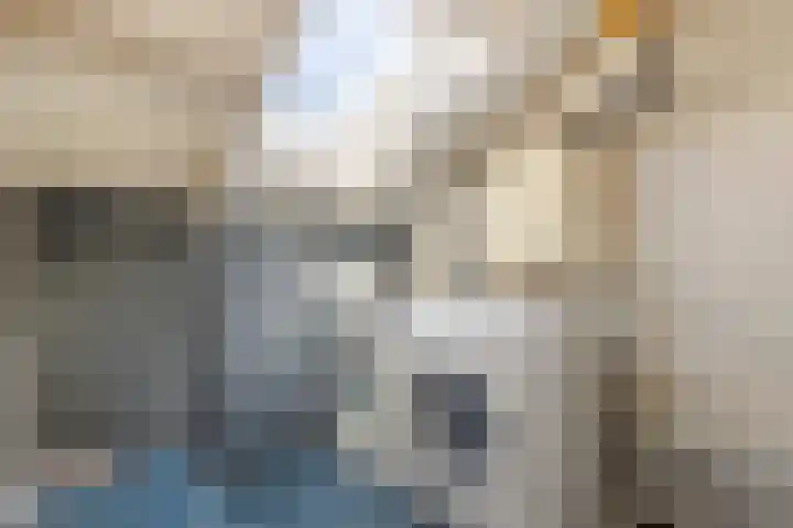 Tureluur 23 Hardinxveld-Giessendam thumbnail 21