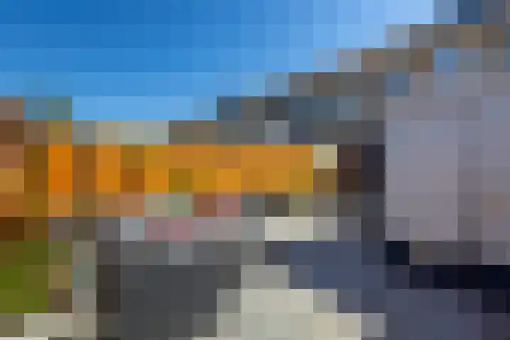 Tureluur 23 Hardinxveld-Giessendam thumbnail 22