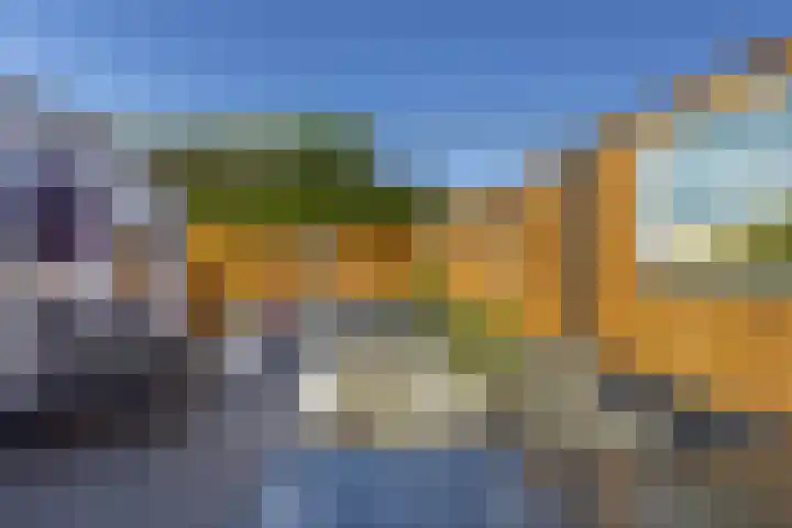 Tureluur 23 Hardinxveld-Giessendam thumbnail 24
