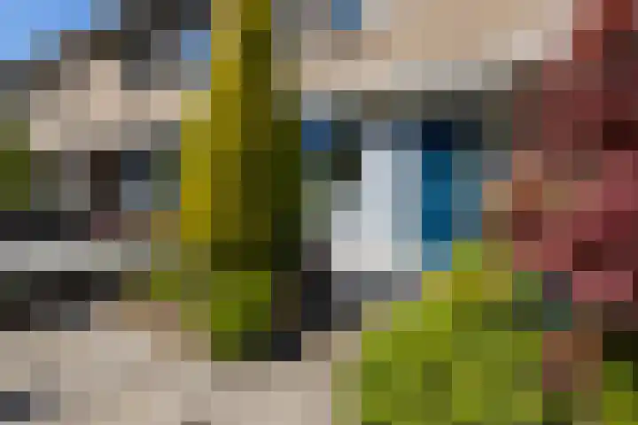 Tureluur 23 Hardinxveld-Giessendam thumbnail 27