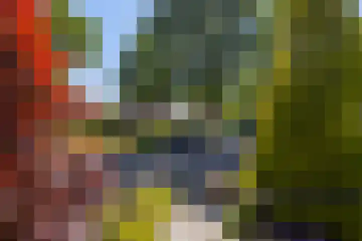 Tureluur 23 Hardinxveld-Giessendam thumbnail 28