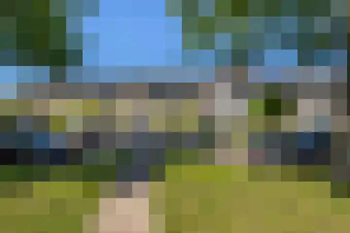 Tureluur 23 Hardinxveld-Giessendam thumbnail 29