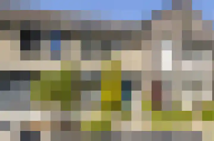 Tureluur 23 Hardinxveld-Giessendam thumbnail 33