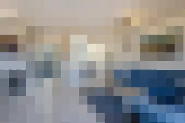 Tureluur 23 Hardinxveld-Giessendam thumbnail 5