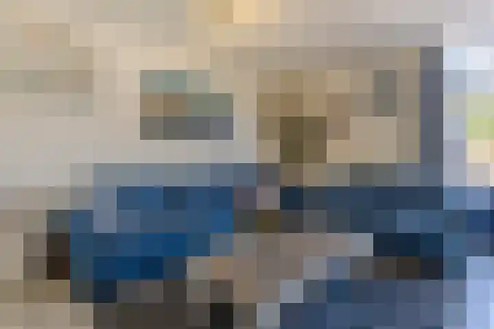 Tureluur 23 Hardinxveld-Giessendam thumbnail 6