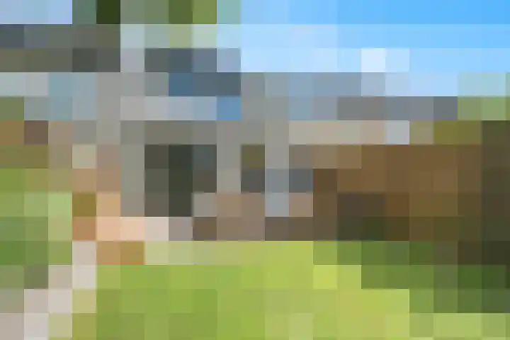 Tureluur 23 Ouderkerk aan de Amstel thumbnail 10