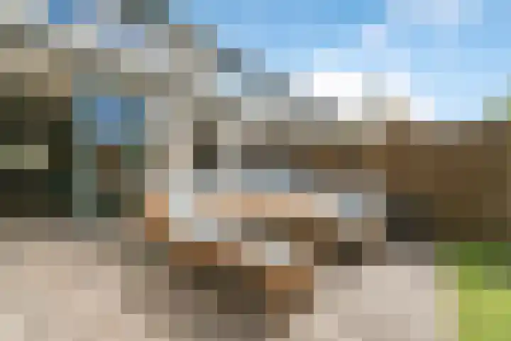 Tureluur 23 Ouderkerk aan de Amstel thumbnail 11