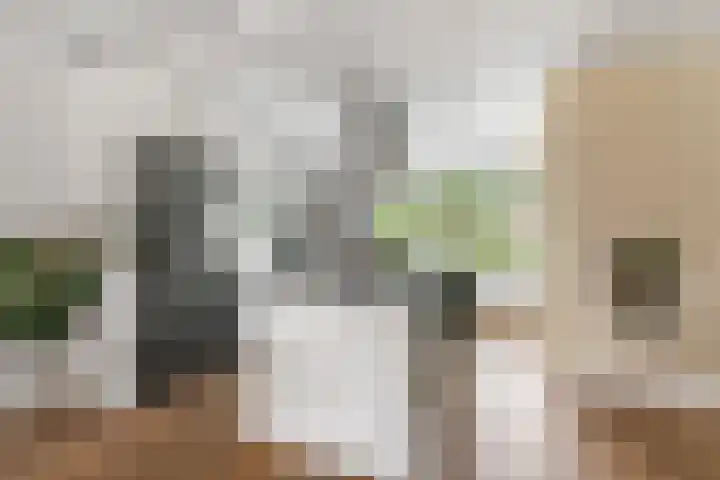 Tureluur 23 Ouderkerk aan de Amstel thumbnail 15