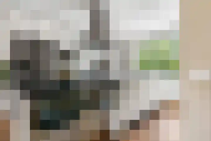 Tureluur 23 Ouderkerk aan de Amstel thumbnail 16
