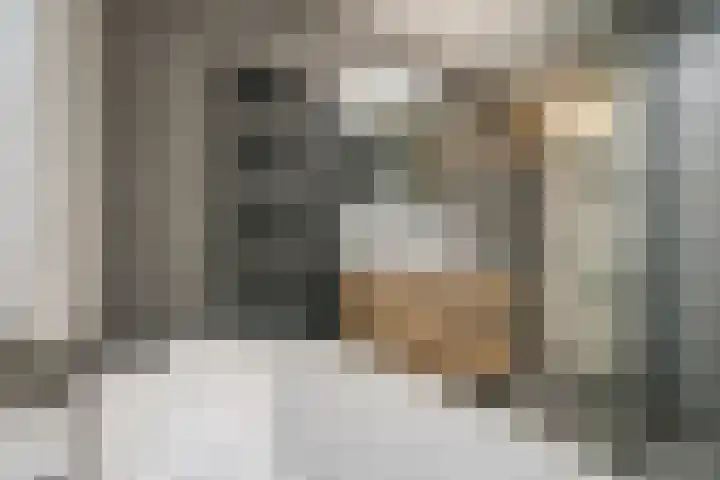 Tureluur 23 Ouderkerk aan de Amstel thumbnail 22
