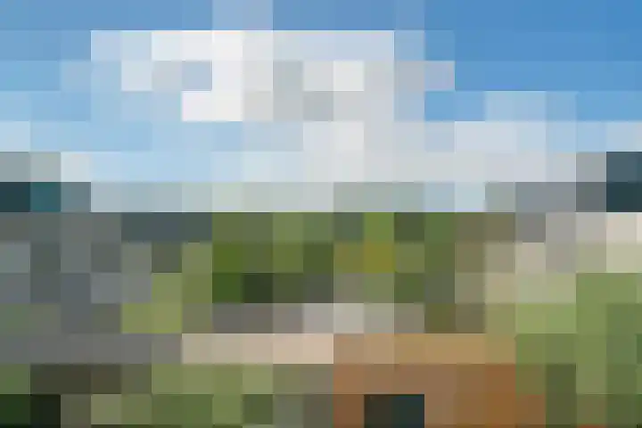 Tureluur 23 Ouderkerk aan de Amstel thumbnail 24