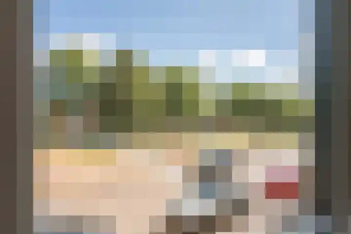 Tureluur 23 Ouderkerk aan de Amstel thumbnail 26