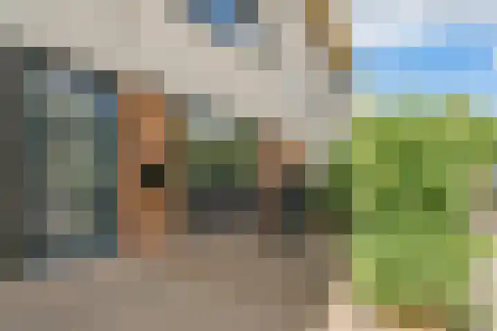 Tureluur 23 Ouderkerk aan de Amstel thumbnail 27