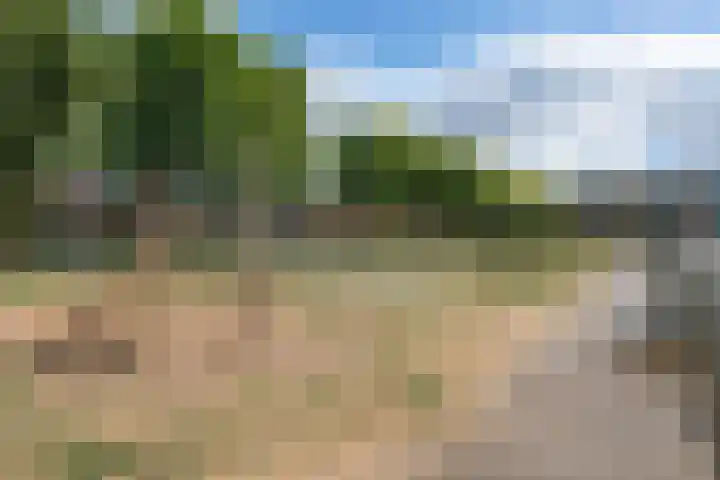 Tureluur 23 Ouderkerk aan de Amstel thumbnail 29
