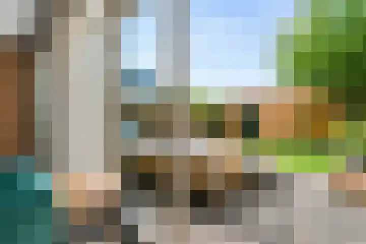 Tureluur 23 Ouderkerk aan de Amstel thumbnail 6