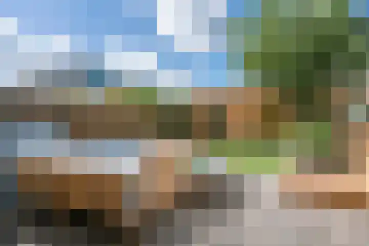 Tureluur 23 Ouderkerk aan de Amstel thumbnail 7