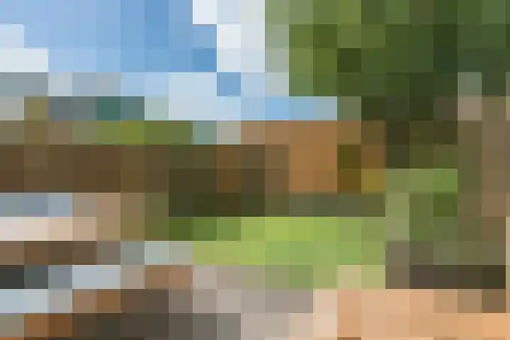 Tureluur 23 Ouderkerk aan de Amstel thumbnail 8