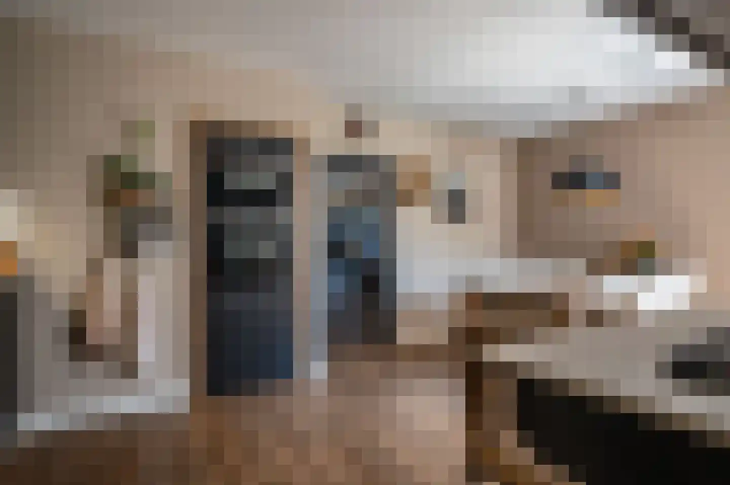 Tureluur 23 Staphorst thumbnail 12