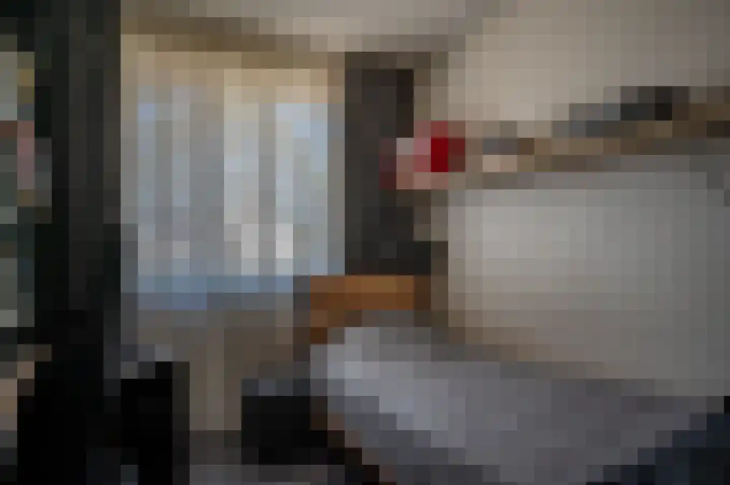 Tureluur 23 Staphorst thumbnail 18