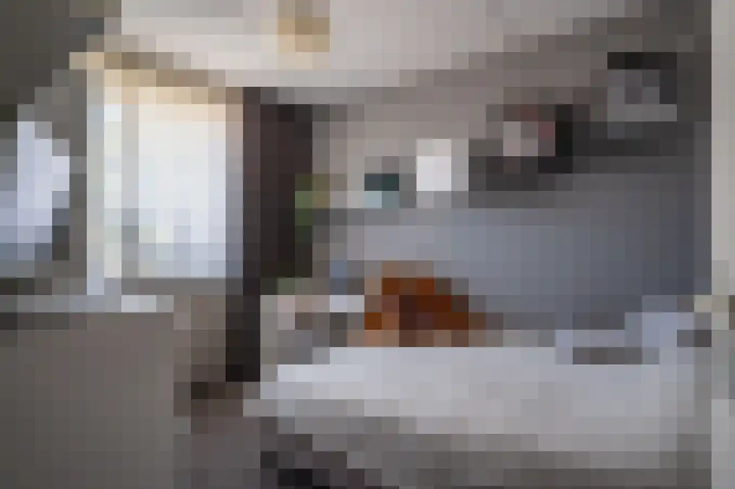 Tureluur 23 Staphorst thumbnail 19