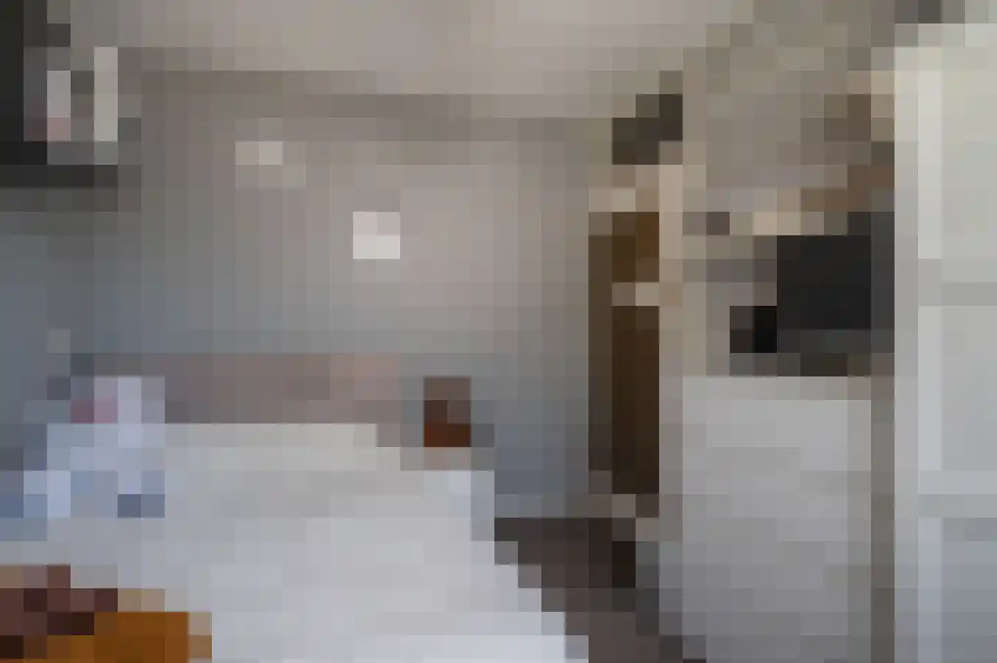Tureluur 23 Staphorst thumbnail 20