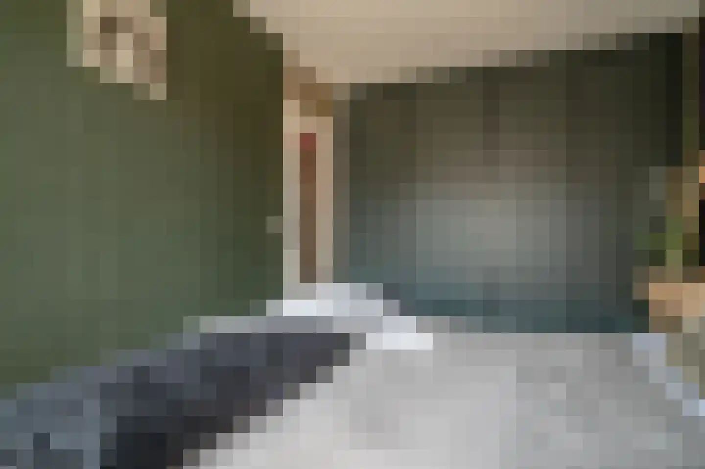 Tureluur 23 Staphorst thumbnail 22
